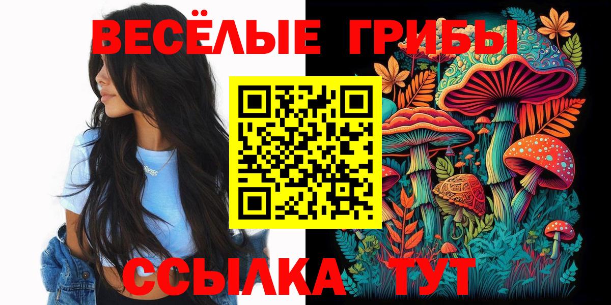 Сибай  Галлюциногенные грибы мицелий  Вход с VPN  Псилоцибиновые грибы Psilocybine cubensis 